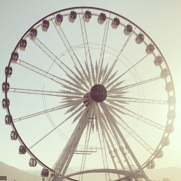 alexis_schiff